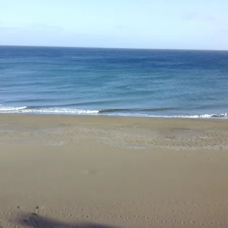 公寓 Primera Linea Playa 卡门港